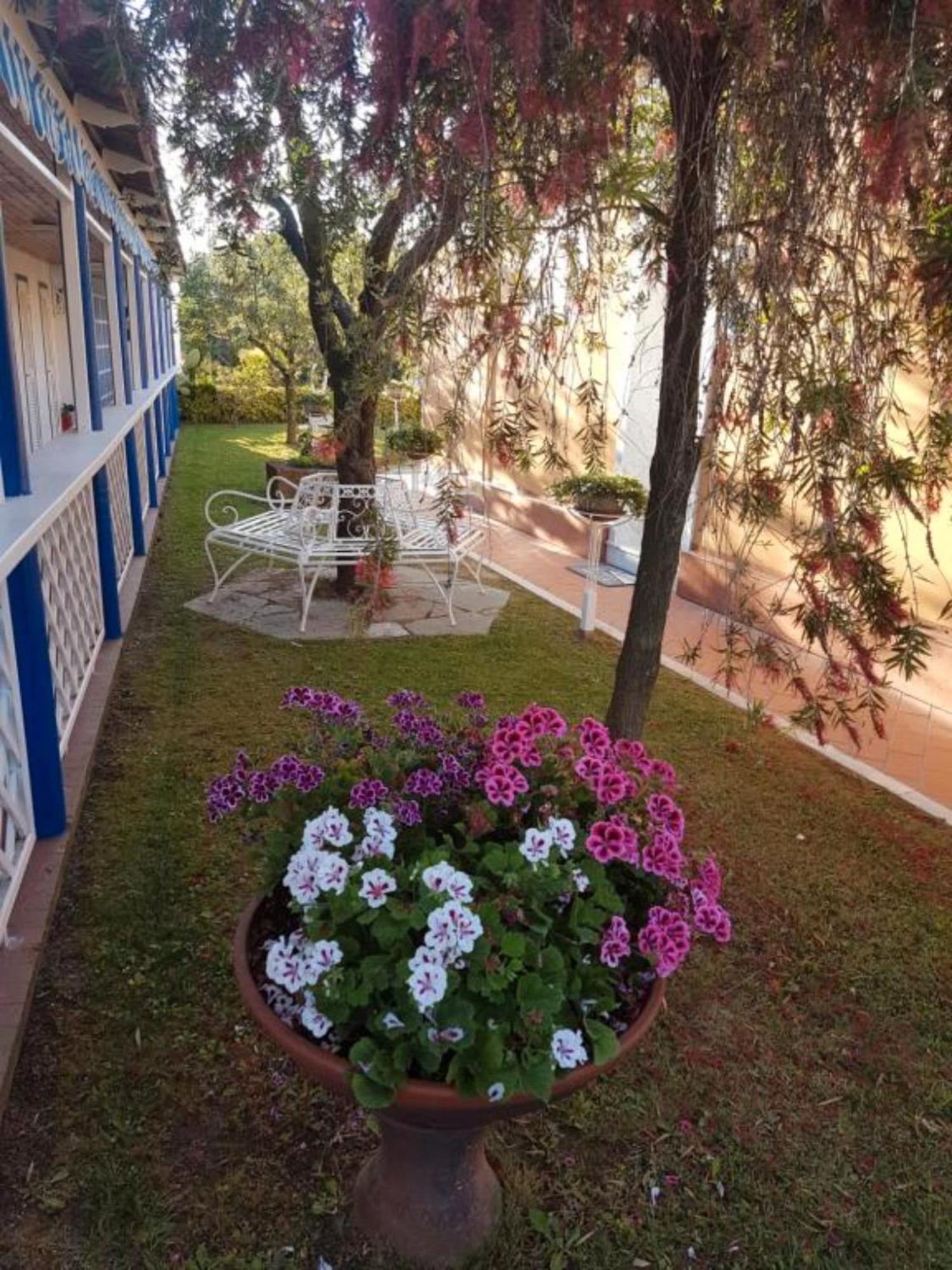 Bed And Breakfast Bagno Venezia Marina Di Carrara Exterior photo